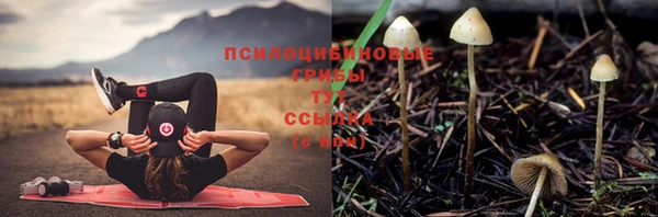 mix Алексин