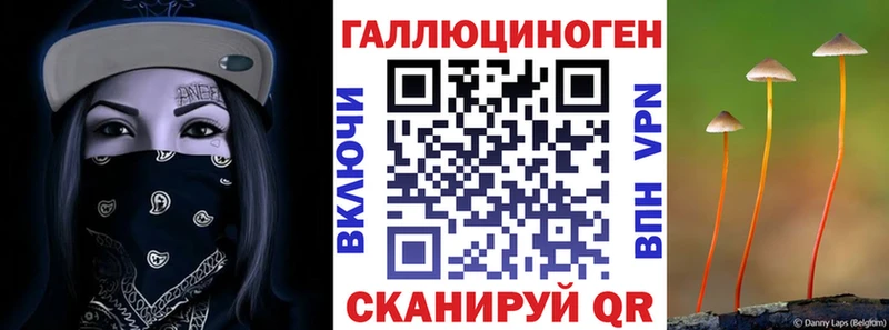 Псилоцибиновые грибы MAGIC MUSHROOMS  МЕГА зеркало  Асино  продажа наркотиков 