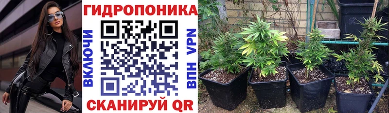 МАРИХУАНА планчик  mega ссылки  Асино 